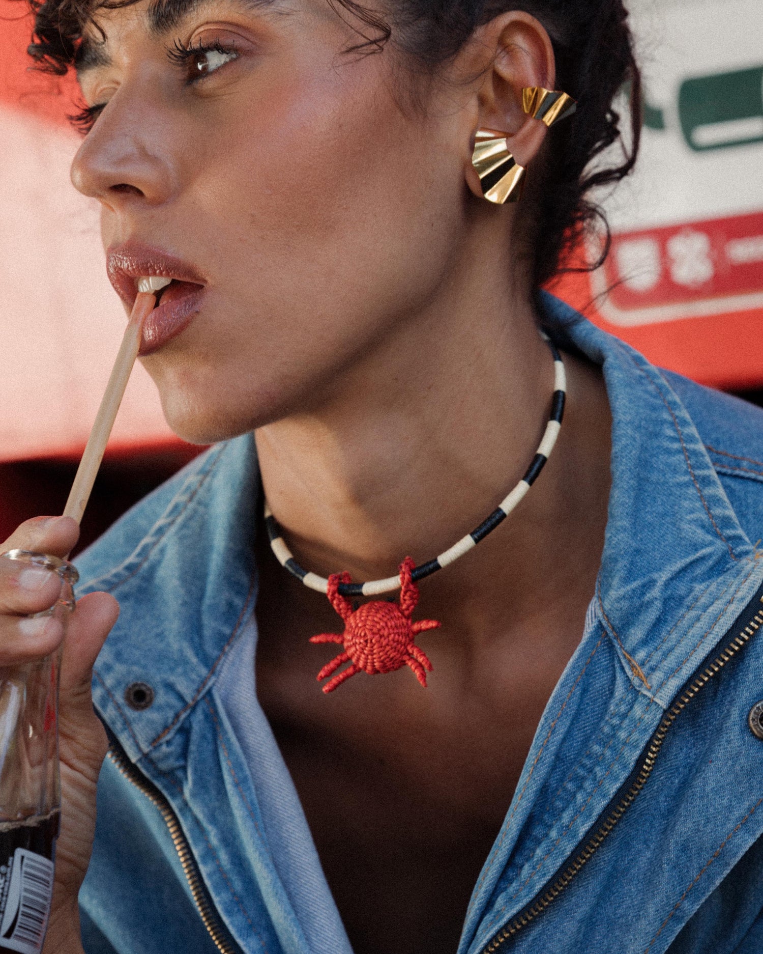 Clarte Choker Animal + 1 Removable Charm