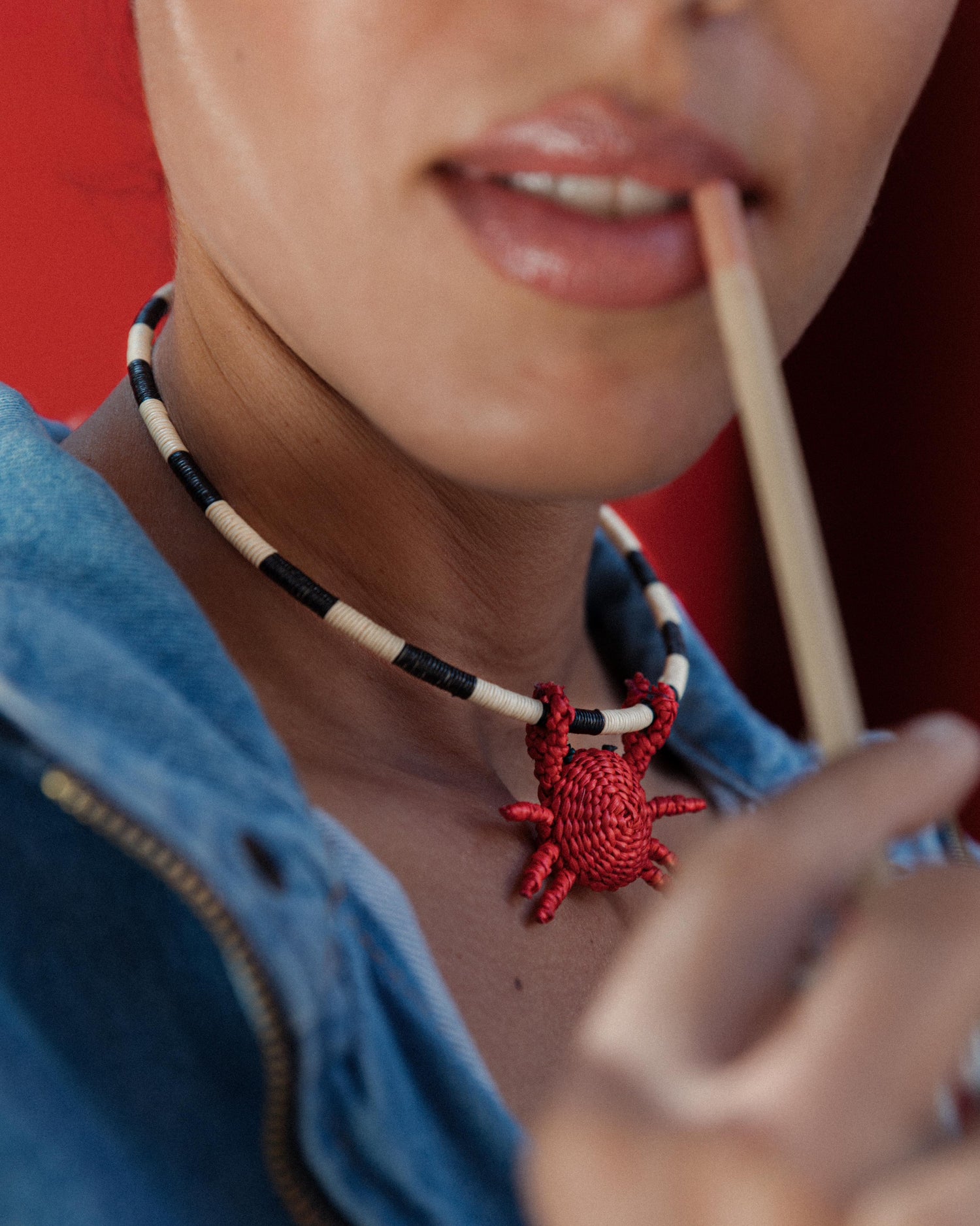 Clarte Choker Animal + 1 Removable Charm