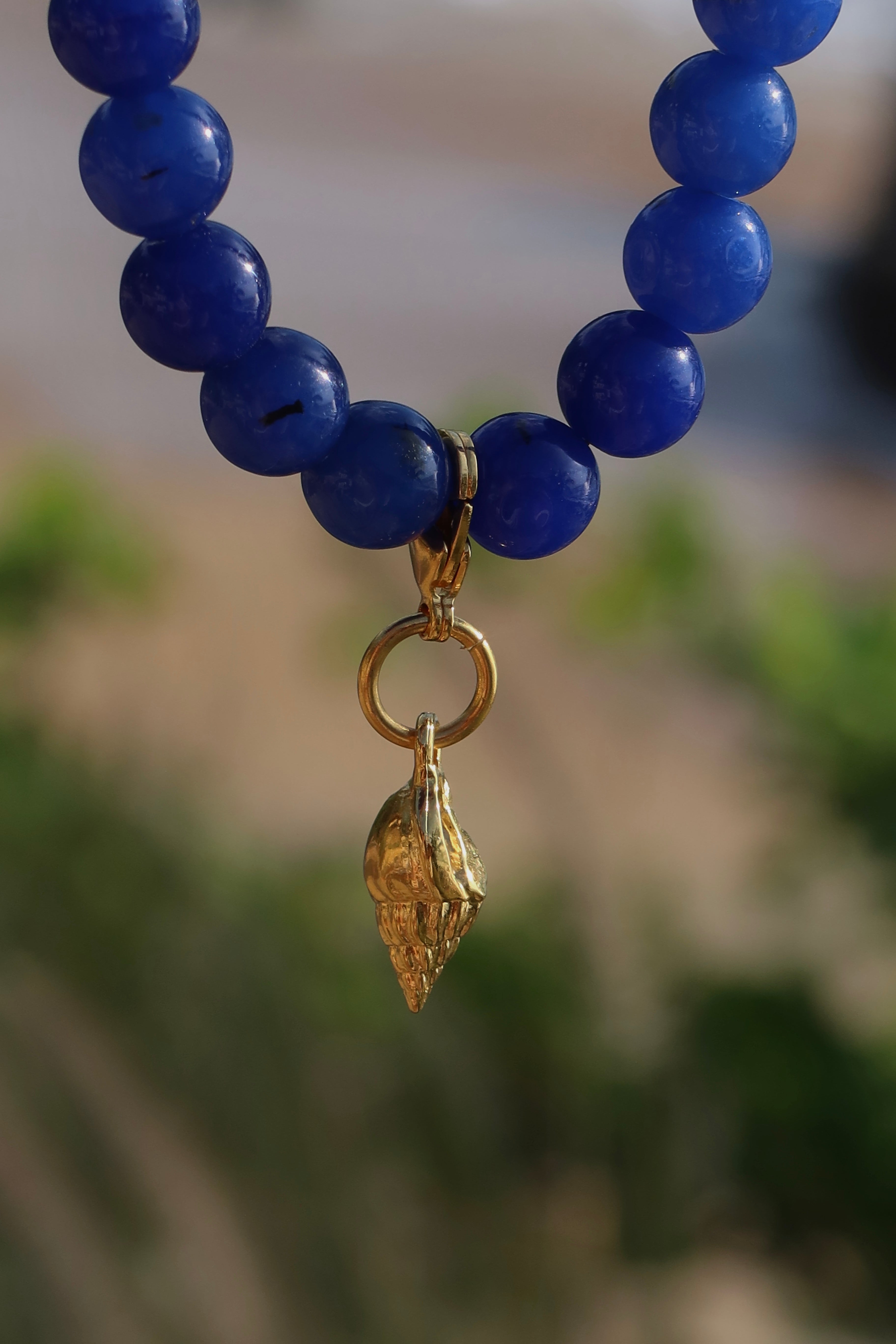 Zalva Necklace + Charm