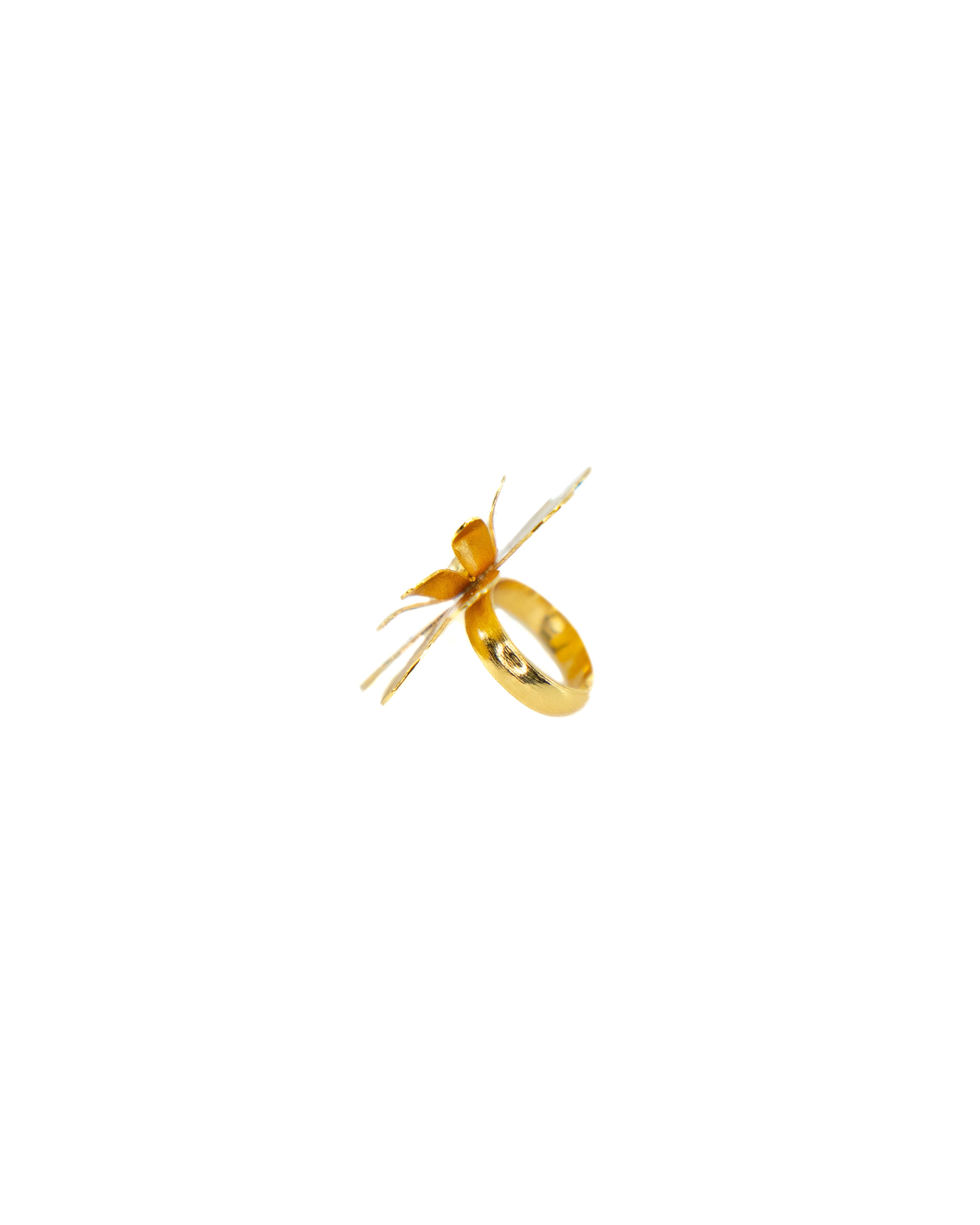 Jacinto Ring
