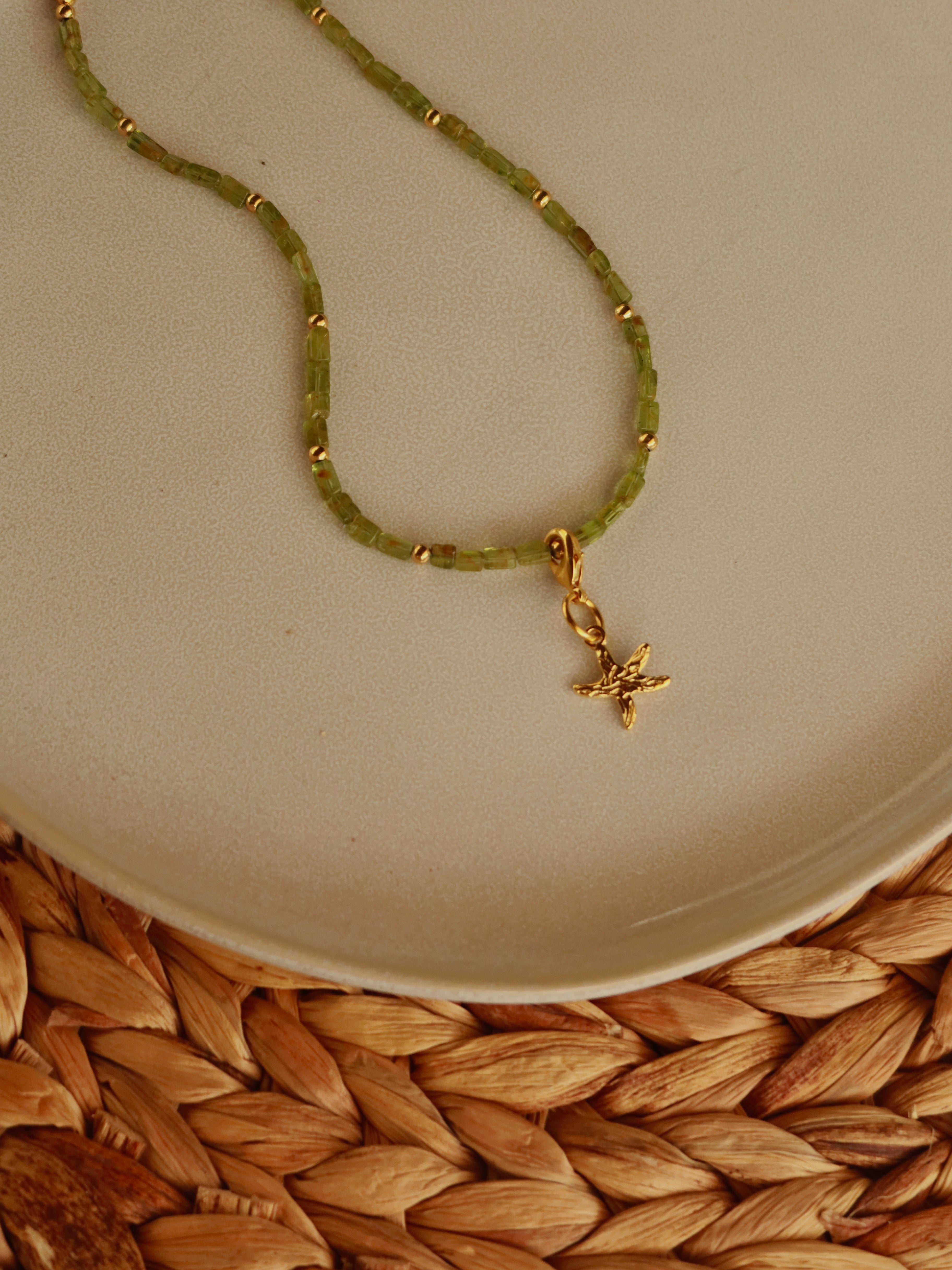 Alua Necklace + Charm