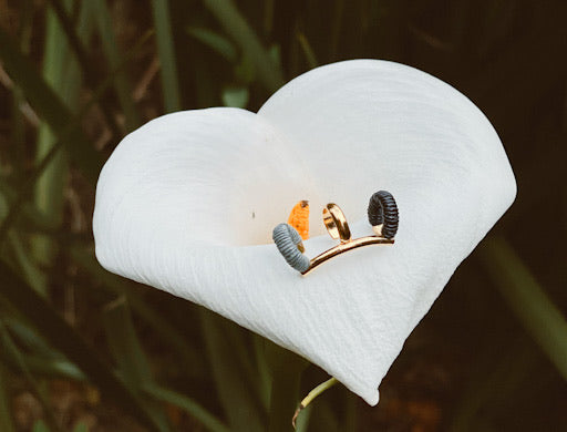 Jaca Earcuff
